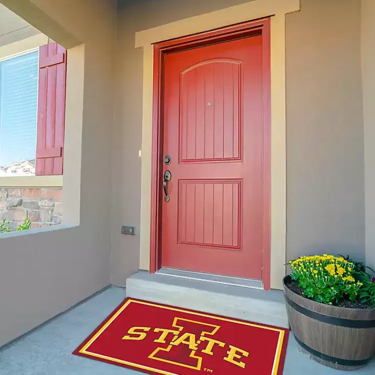 iowa_state_university_area_rug_x_3.webp Iowa State University Area Rug, 3x4>Kirklands Home Best