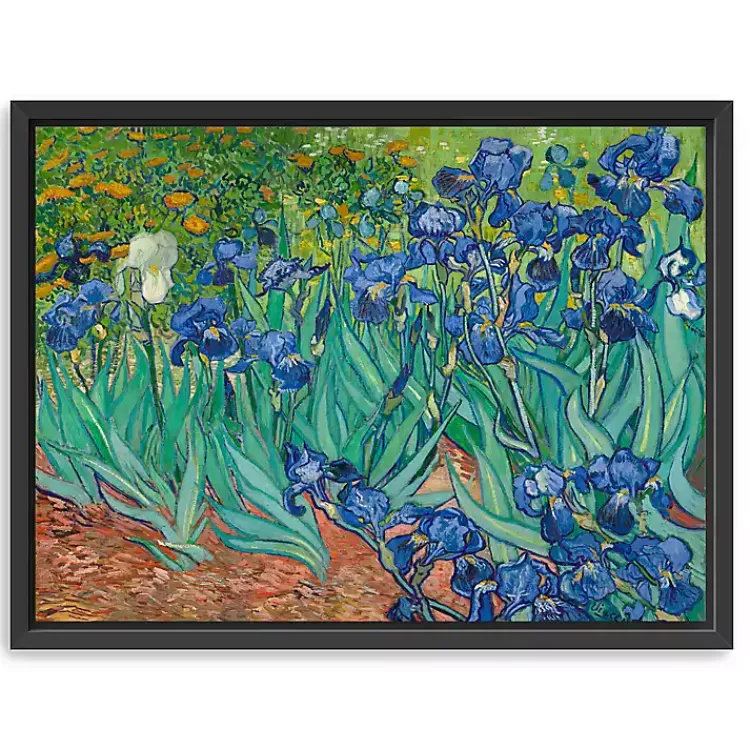 Irises Framed Canvas Art Print, 26x20 in.>Kirklands Home Discount