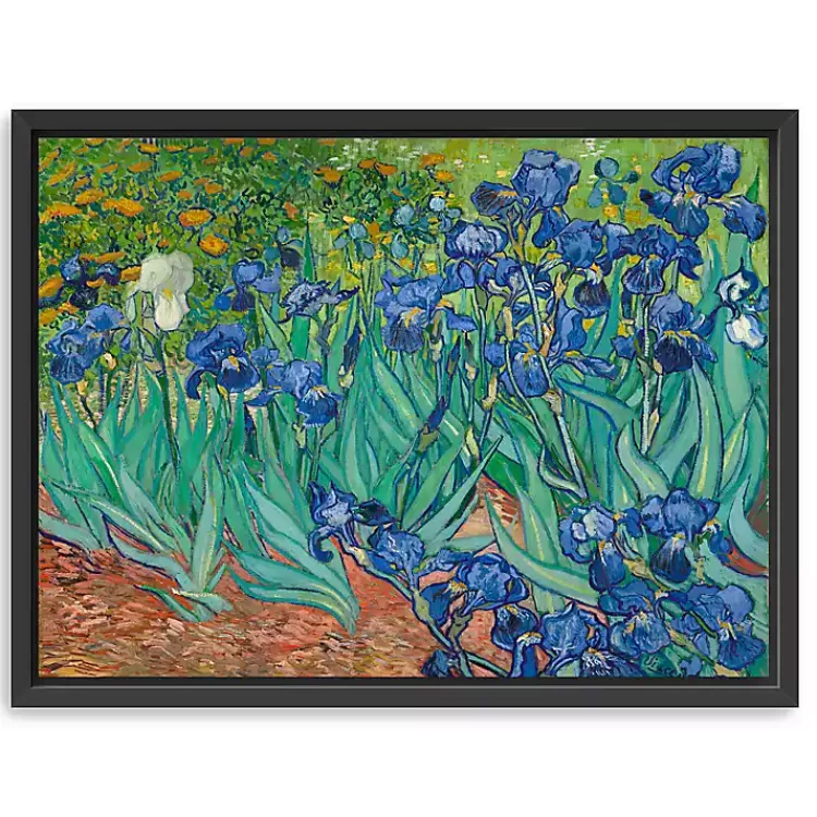 Irises Framed Canvas Art Print, 42x32 in.>Kirklands Home Clearance