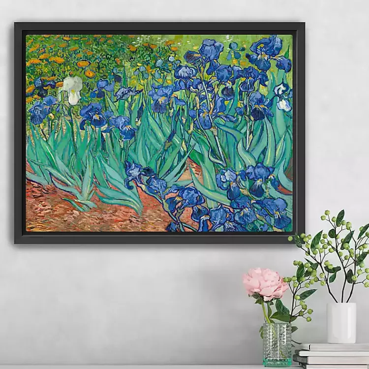 Irises Framed Canvas Art Print, 26x20 in.>Kirklands Home Discount