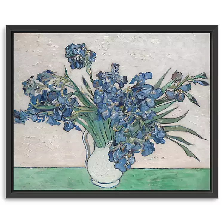 Irises II Framed Canvas Art Print, 22x18 in.>Kirklands Home New