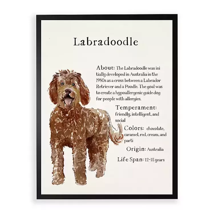 Labradoodle Facts Framed Wall Plaque>Kirklands Home Best
