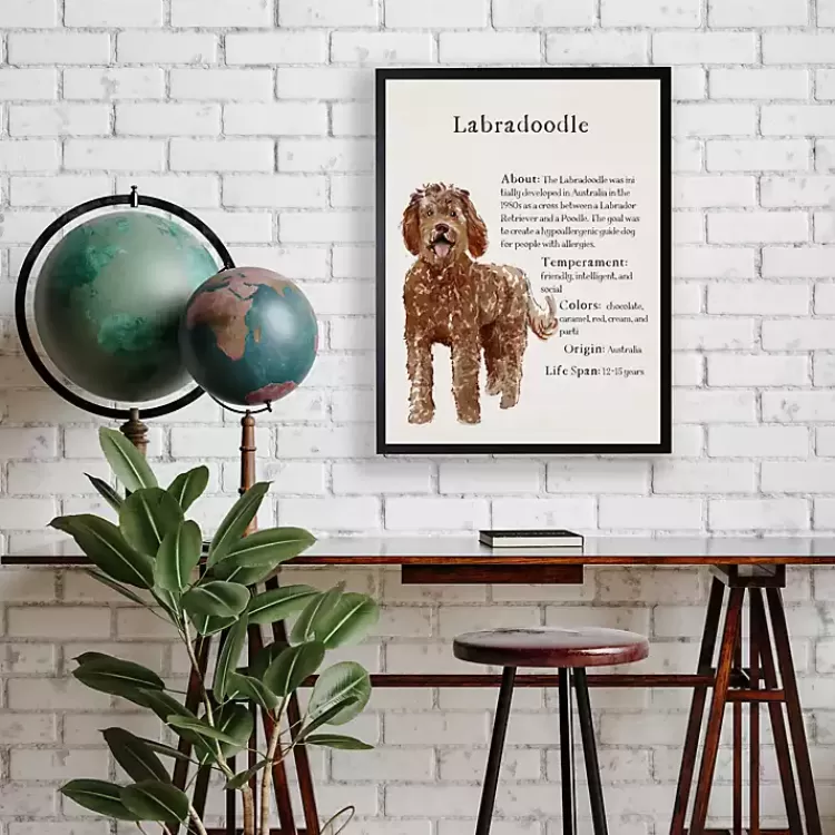 Labradoodle Facts Framed Wall Plaque>Kirklands Home Best
