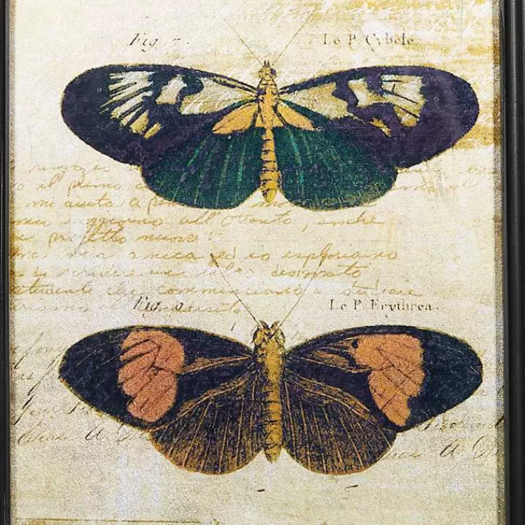 literary_butterflies_framed_art_prints_set_of__2.webp Literary Butterflies Framed Art Prints, Set of 2>Kirklands Home Discount