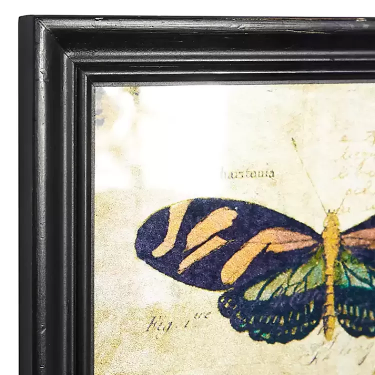 literary_butterflies_framed_art_prints_set_of__3.webp Literary Butterflies Framed Art Prints, Set of 2>Kirklands Home Discount