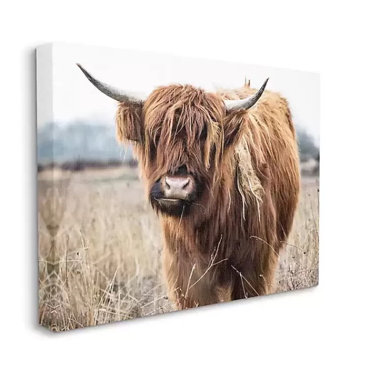 longhorn_in_tall_grass_canvas_art_print_x_in_2.webp Longhorn in Tall Grass Canvas Art Print, 40x30 in.>Kirklands Home Clearance