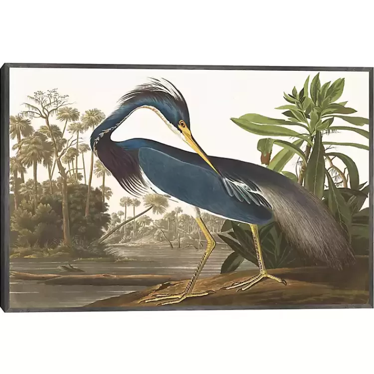 Louisiana Heron Framed Canvas Art Print>Kirklands Home Outlet