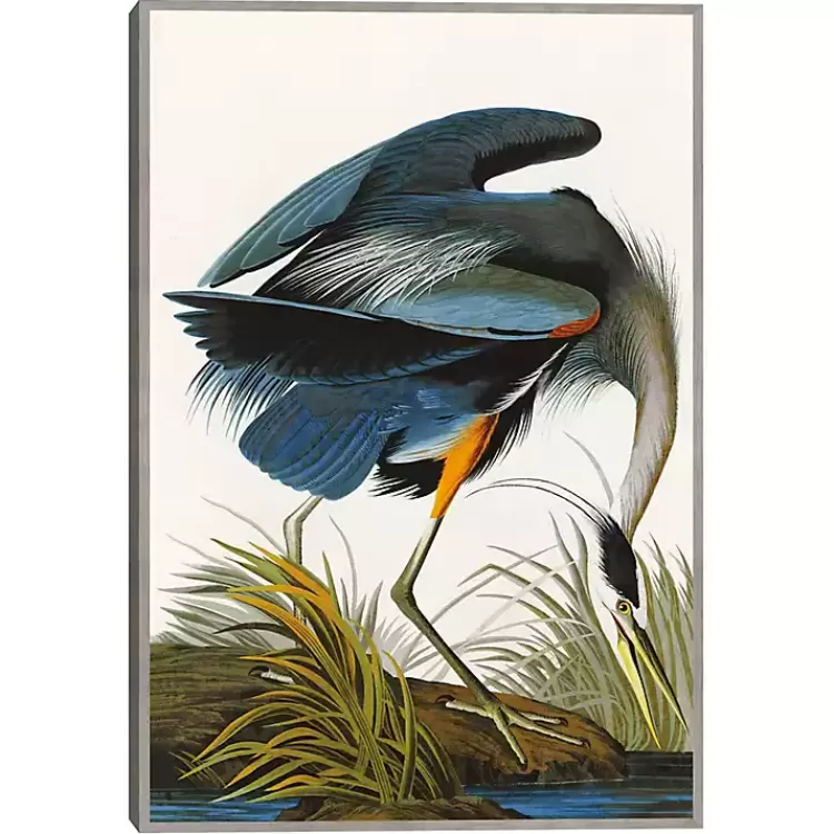 Louisiana Heron Framed Canvas Art Print>Kirklands Home Clearance