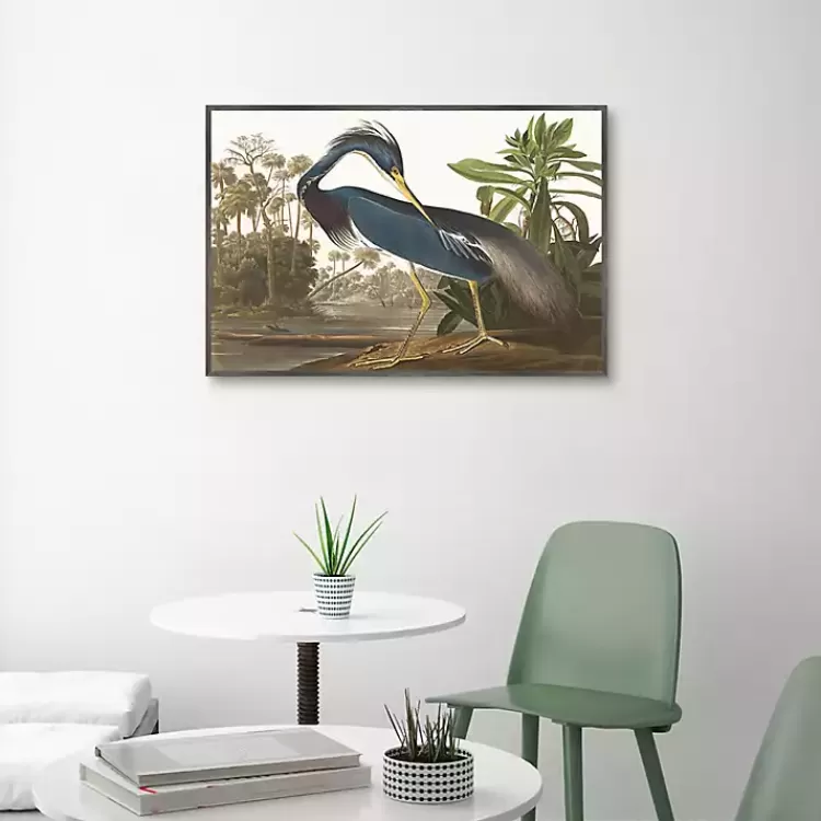 Louisiana Heron Framed Canvas Art Print>Kirklands Home Outlet