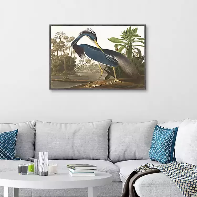 louisiana_heron_framed_canvas_art_print_3-1.webp Louisiana Heron Framed Canvas Art Print>Kirklands Home Outlet