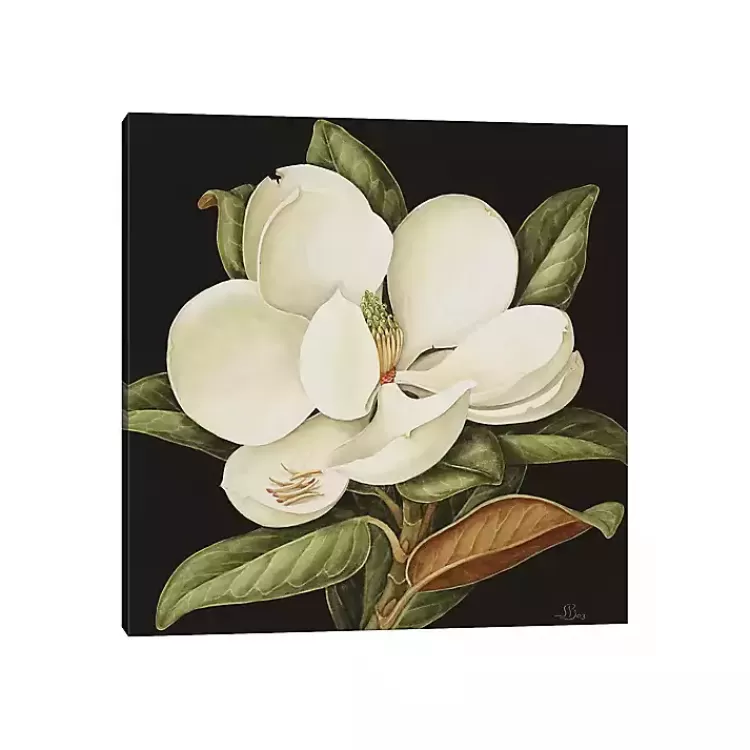 Magnolia Grandiflora Canvas Art Print>Kirklands Home Best