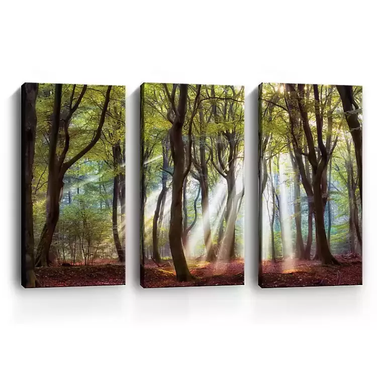 majestic_morning_canvas_art_prints_set_of__2.webp Majestic Morning Canvas Art Prints, Set of 3>Kirklands Home Cheap
