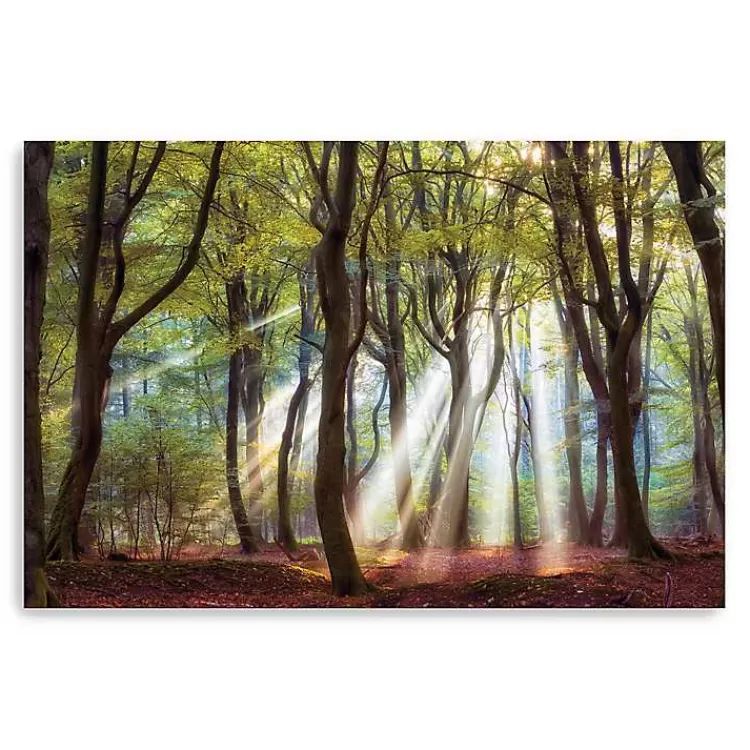 Majestic Morning Giclee Canvas Art Print>Kirklands Home Cheap