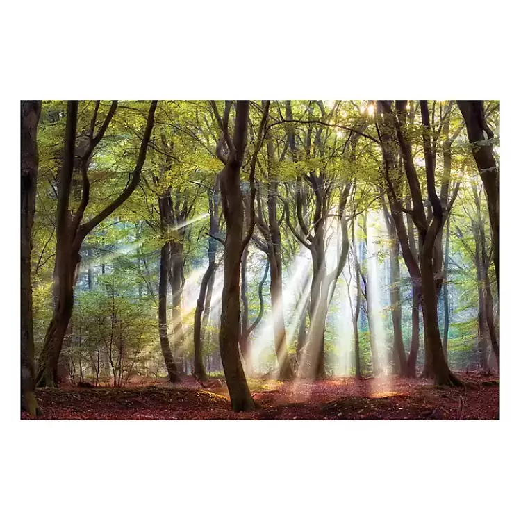 Majestic Morning Giclee Canvas Art Print>Kirklands Home Discount
