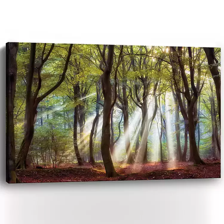majestic_morning_giclee_canvas_art_print_2-1.webp Majestic Morning Giclee Canvas Art Print>Kirklands Home Cheap