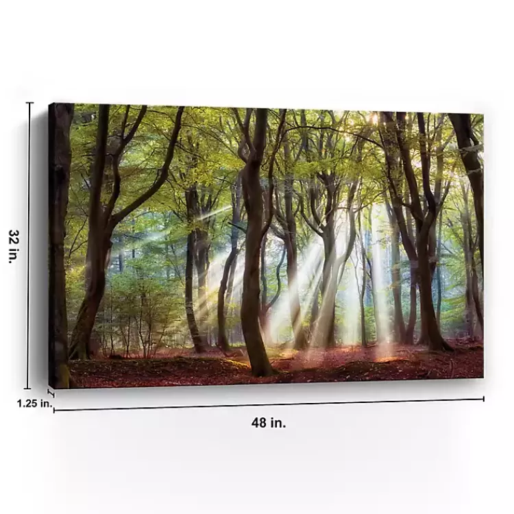 majestic_morning_giclee_canvas_art_print_2.webp Majestic Morning Giclee Canvas Art Print>Kirklands Home Discount