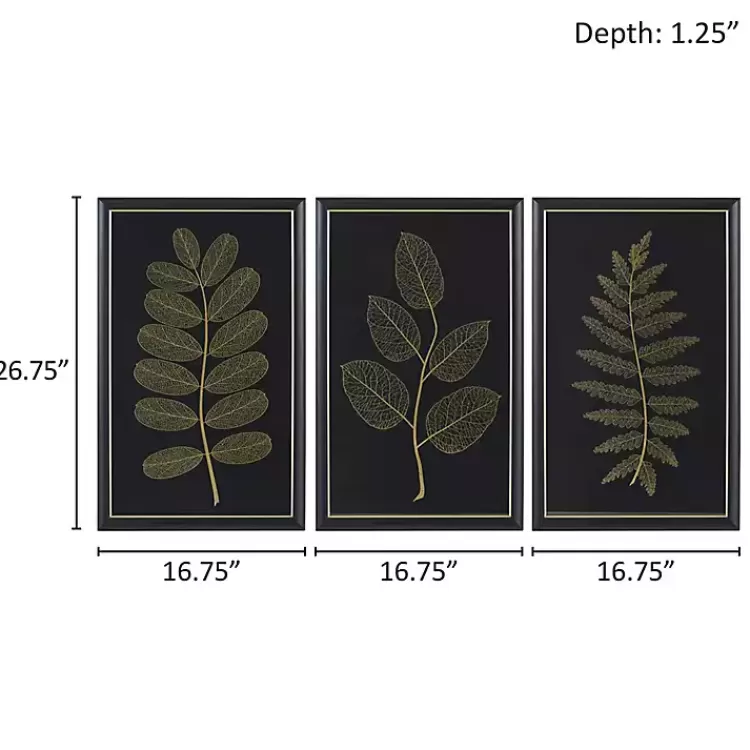 martha_stewart_botanical_framed_prints_set_of__7.webp Martha Stewart Botanical Framed Prints, Set of 3>Kirklands Home Outlet