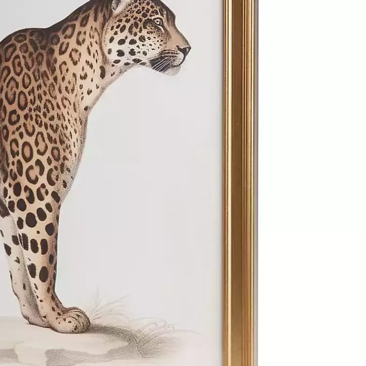 martha_stewart_cheetahs_framed_wall_art_set_of__4.webp Martha Stewart Cheetahs Framed Wall Art, Set of 2>Kirklands Home Shop