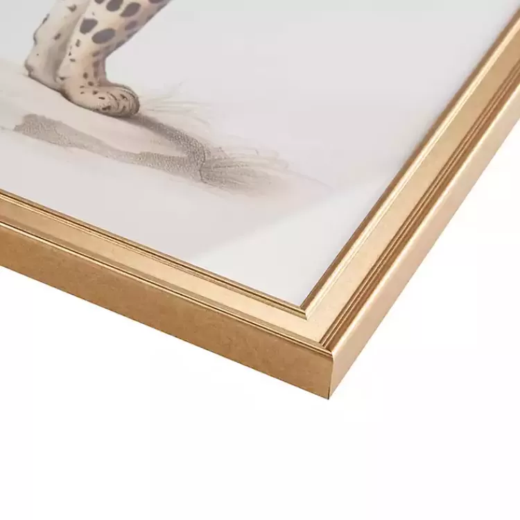 martha_stewart_cheetahs_framed_wall_art_set_of__7.webp Martha Stewart Cheetahs Framed Wall Art, Set of 2>Kirklands Home Shop
