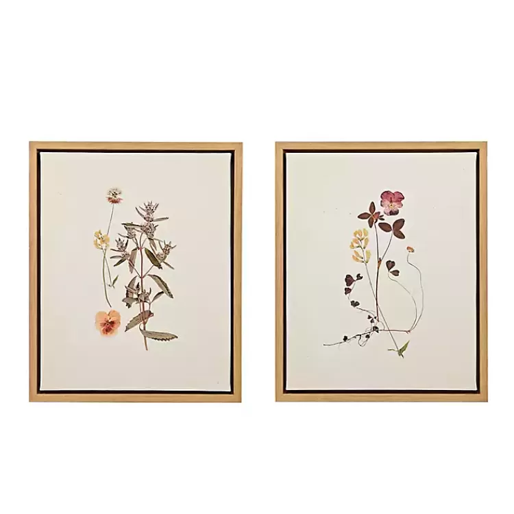 Martha Stewart French Herbarium Framed Art Set>Kirklands Home Fashion