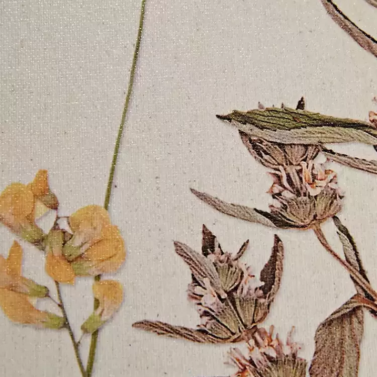 martha_stewart_french_herbarium_framed_art_set_5.webp Martha Stewart French Herbarium Framed Art Set>Kirklands Home Fashion