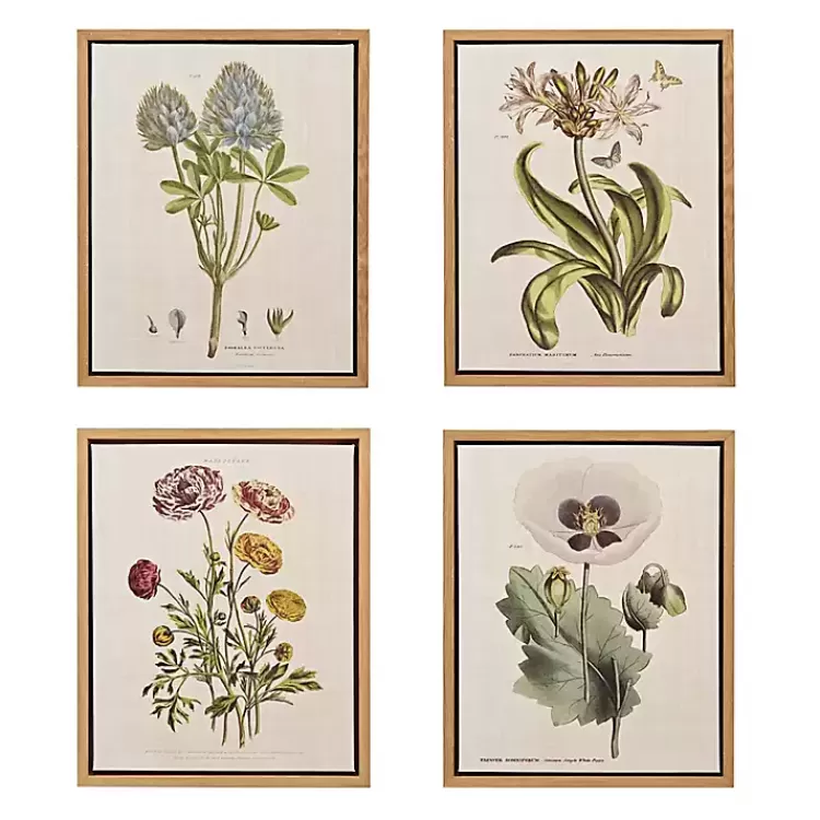 Martha Stewart Herb and Floral Framed Print Set>Kirklands Home Cheap