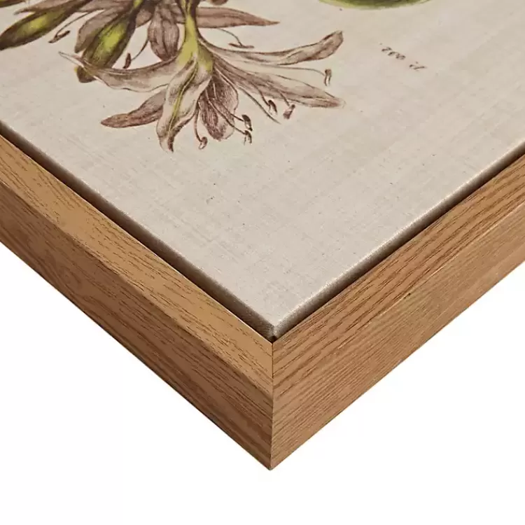 martha_stewart_herb_and_floral_framed_print_set_2.webp Martha Stewart Herb and Floral Framed Print Set>Kirklands Home Cheap