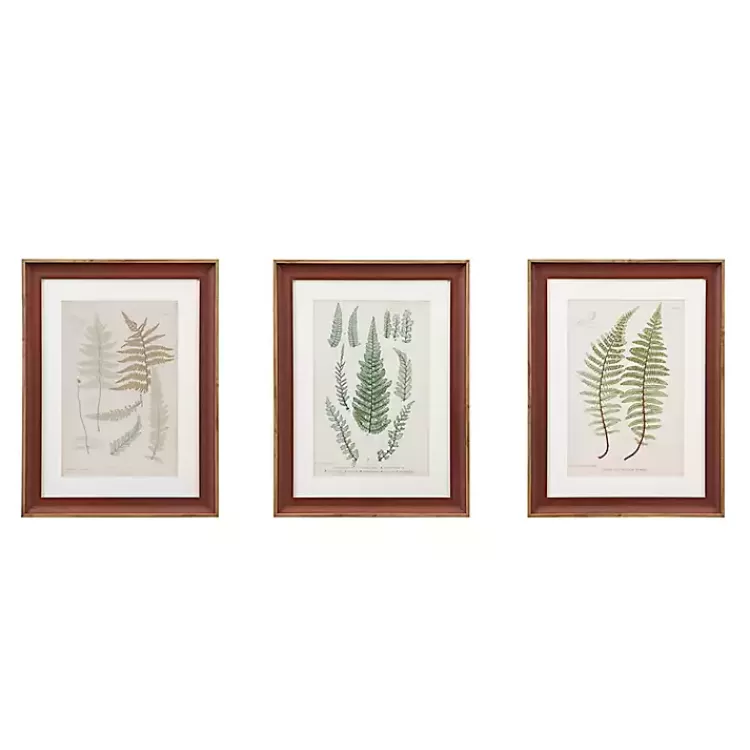 Martha Stewart Lady Fern Framed Art Print Set>Kirklands Home Cheap
