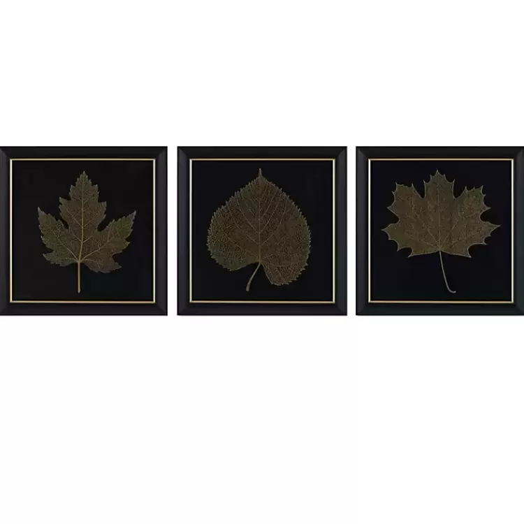 Martha Stewart Leaf Framed Prints, Set of 3>Kirklands Home Best Sale