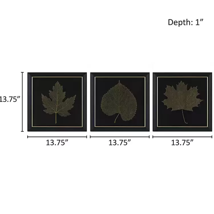 martha_stewart_leaf_framed_prints_set_of__7.webp Martha Stewart Leaf Framed Prints, Set of 3>Kirklands Home Best Sale