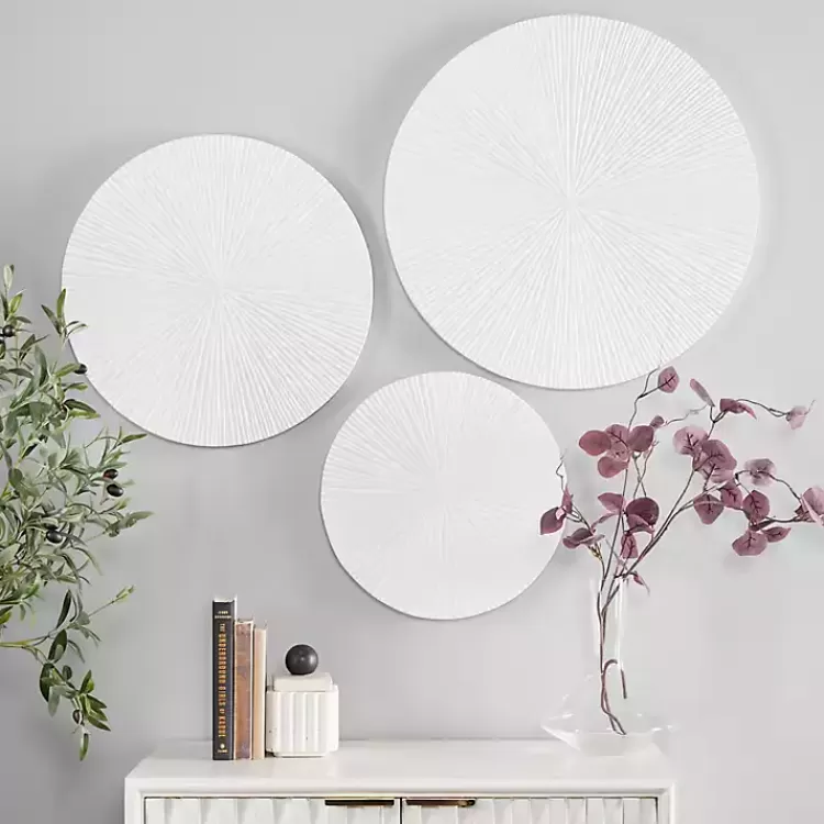 Matte Ribbed Sunburst Wall Plates, Set of 3>Kirklands Home New