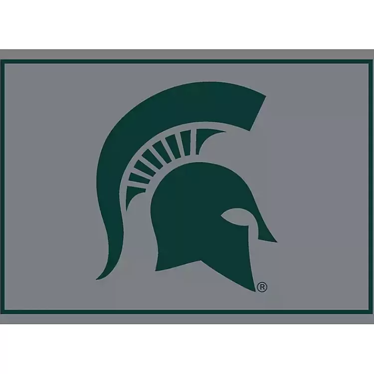 Michigan State Area Rug, 4x6>Kirklands Home Hot