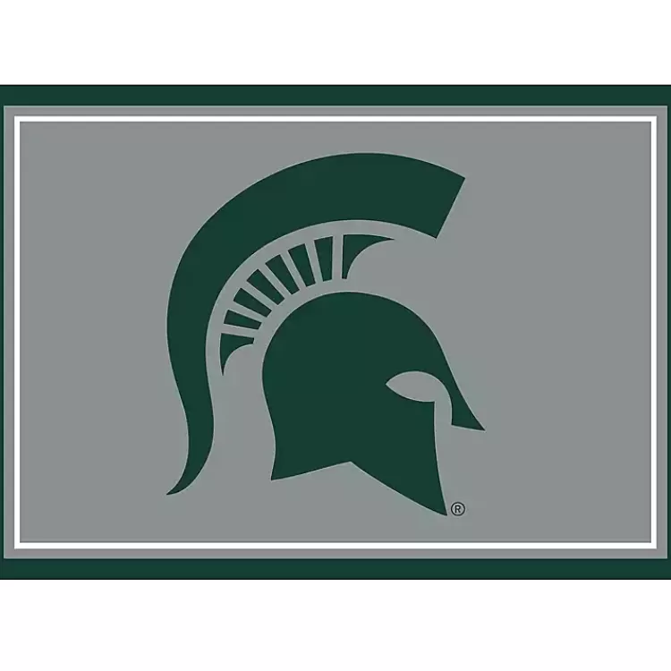 Michigan State University Area Rug, 3x4>Kirklands Home Best Sale
