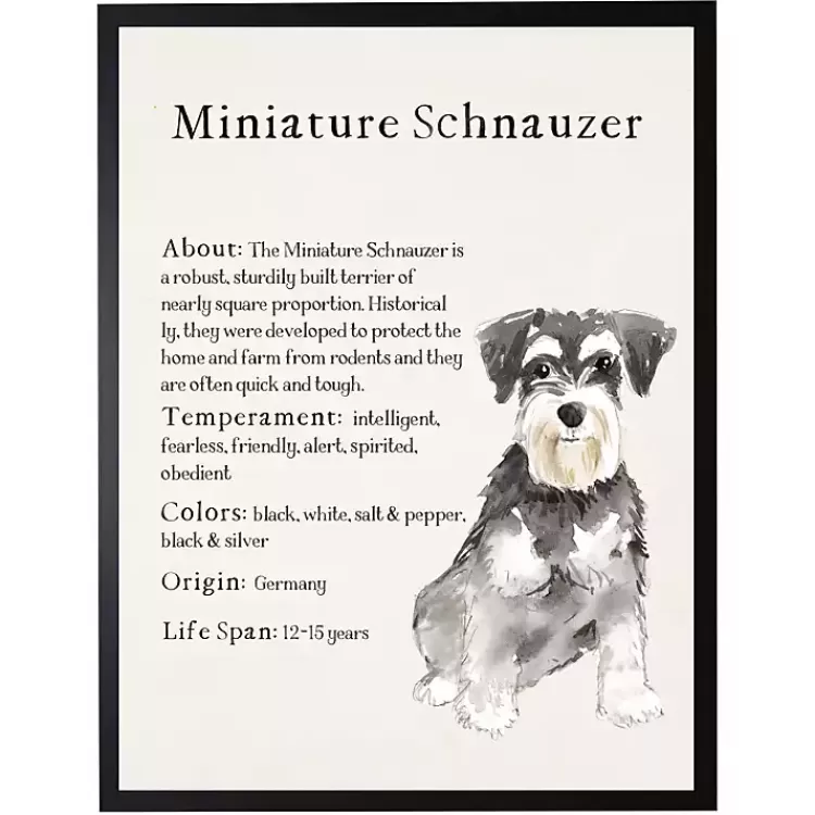 Miniature Schnauzer Facts Framed Wall Plaque>Kirklands Home Clearance