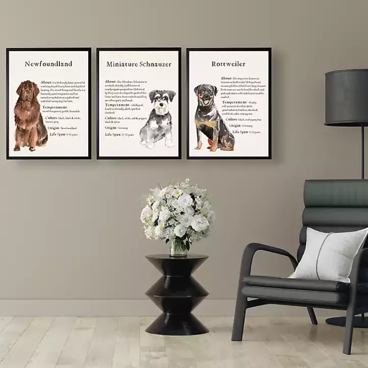 Miniature Schnauzer Facts Framed Wall Plaque>Kirklands Home Clearance
