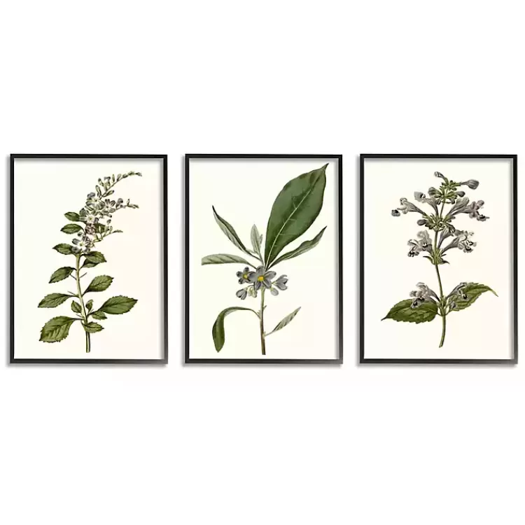 Minimal Soft Flowers Framed Art Prints, Set of 3>Kirklands Home Online