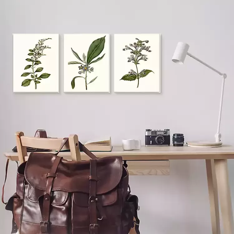 Minimal Soft Flowers Framed Art Prints, Set of 3>Kirklands Home Online