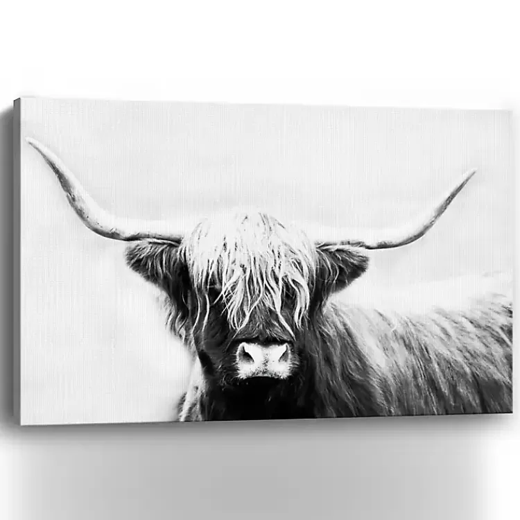 monochrome_longhorn_canvas_art_print_x_in_2.webp Monochrome Longhorn Canvas Art Print, 60x40 in.>Kirklands Home Cheap