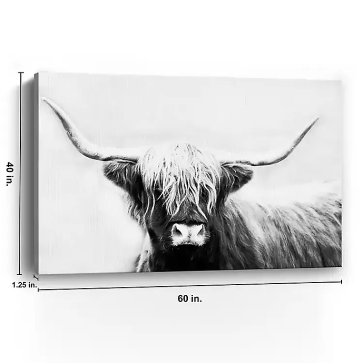 monochrome_longhorn_canvas_art_print_x_in_3.webp Monochrome Longhorn Canvas Art Print, 60x40 in.>Kirklands Home Cheap