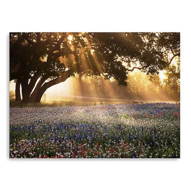 Morning Meadow Giclee Canvas Art Print, 48x36 in.>Kirklands Home Flash Sale