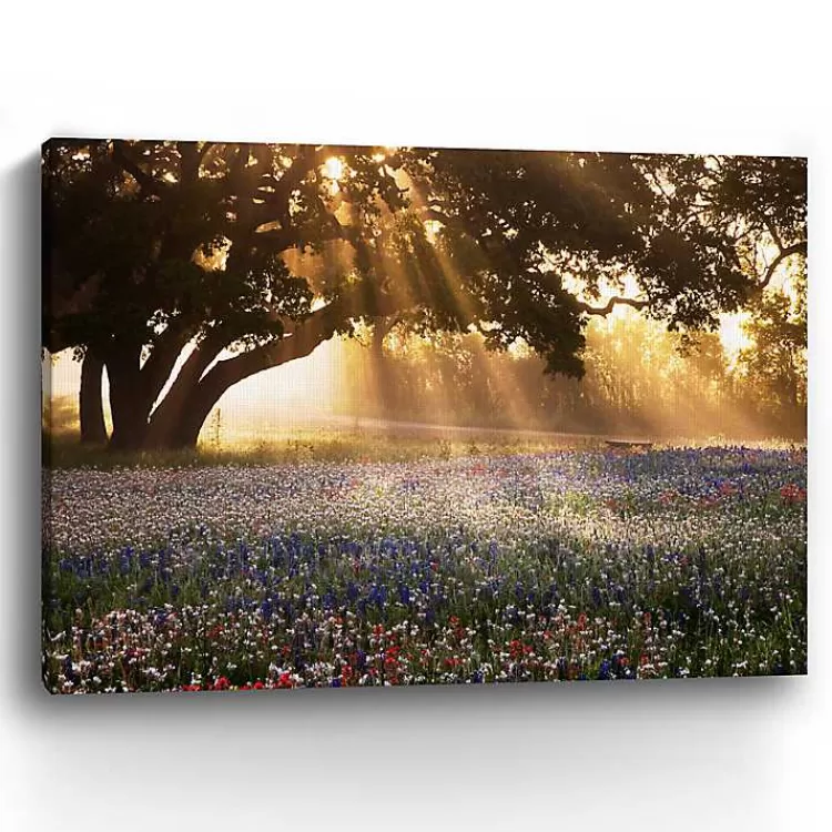 morning_meadow_giclee_canvas_art_print_x_in_2-1.webp Morning Meadow Giclee Canvas Art Print, 48x36 in.>Kirklands Home Flash Sale