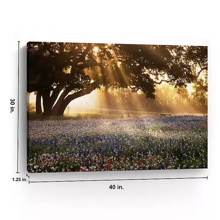 morning_meadow_giclee_canvas_art_print_x_in_3.webp Morning Meadow Giclee Canvas Art Print, 40x30 in.>Kirklands Home Best
