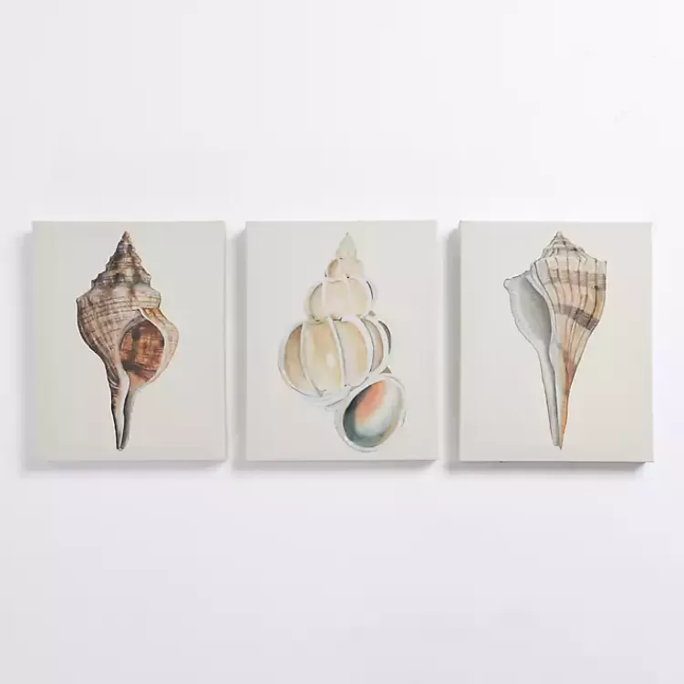 Neutral Seashells Canvas Art Prints, Set of 3>Kirklands Home Cheap