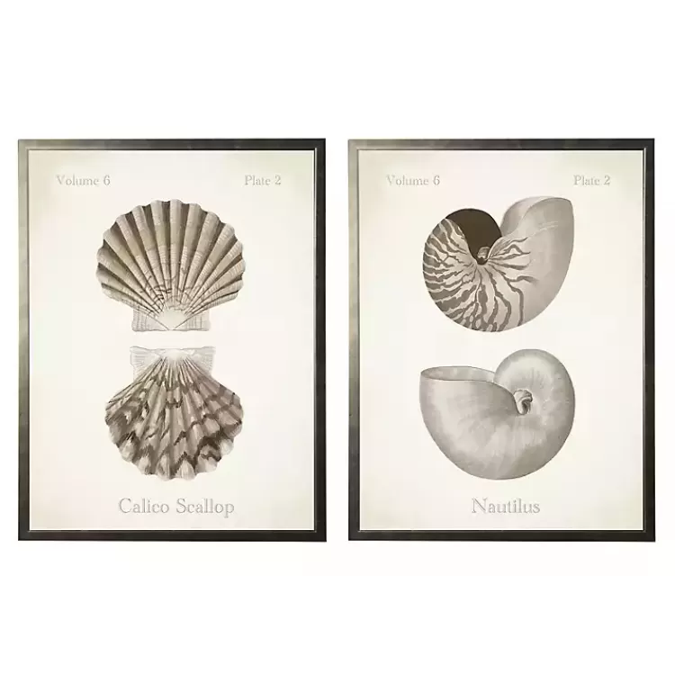 Neutral Seashells Framed Art Prints, Set of 2>Kirklands Home Best