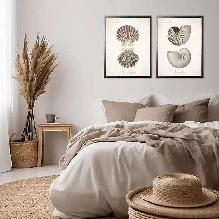 Neutral Seashells Framed Art Prints, Set of 2>Kirklands Home Best