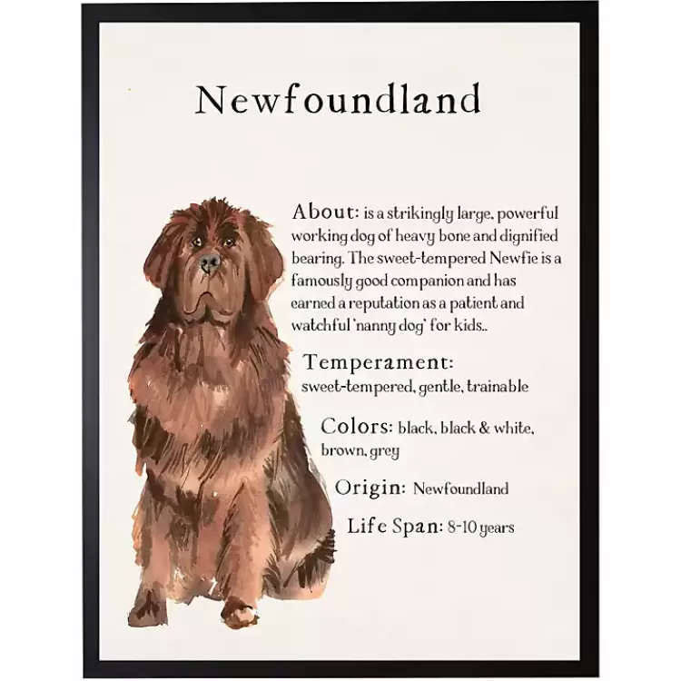 Newfoundland Facts Framed Wall Plaque>Kirklands Home Sale