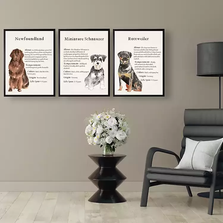 Newfoundland Facts Framed Wall Plaque>Kirklands Home Sale