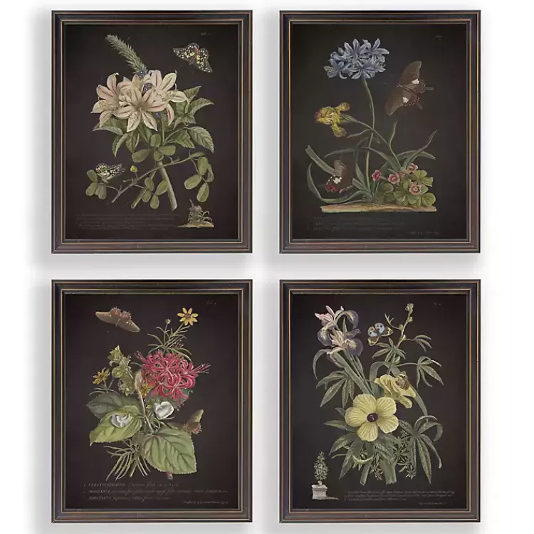 Night Butterfly Blooms Framed Art Prints, Set of 4>Kirklands Home Fashion