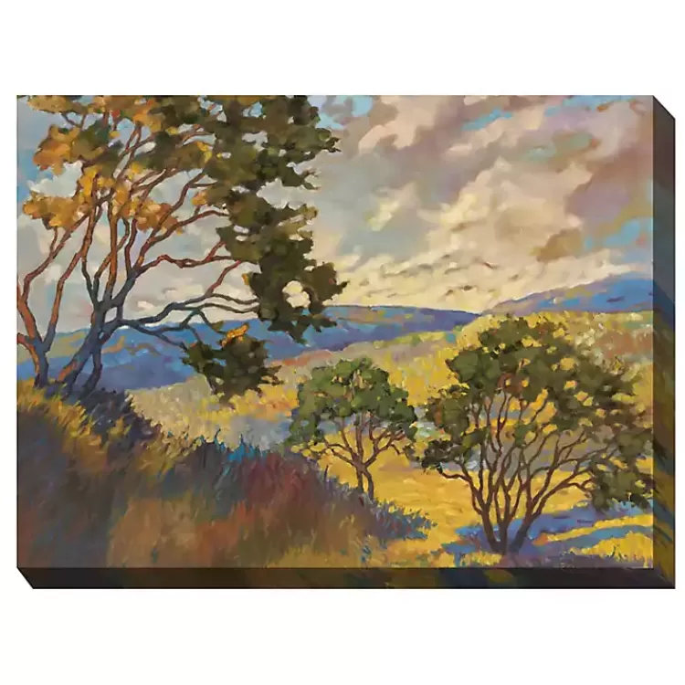 No Boundaries Outdoor Canvas Art Print>Kirklands Home Outlet