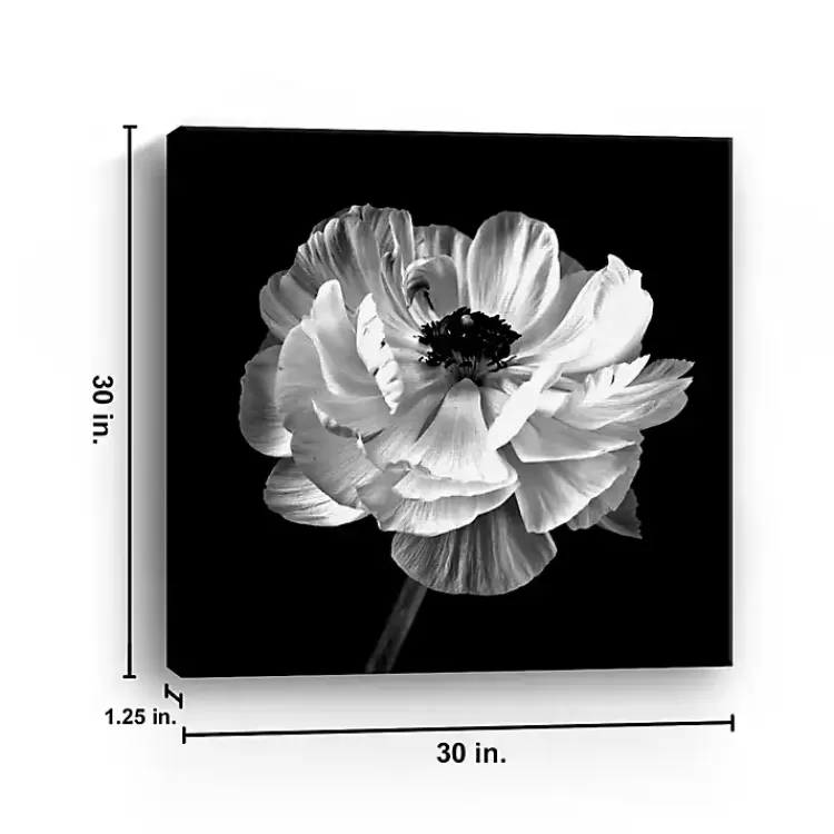 noir_ranunculus_floral_giclee_canvas_art_print_2.webp Noir Ranunculus Floral Giclee Canvas Art Print>Kirklands Home Discount